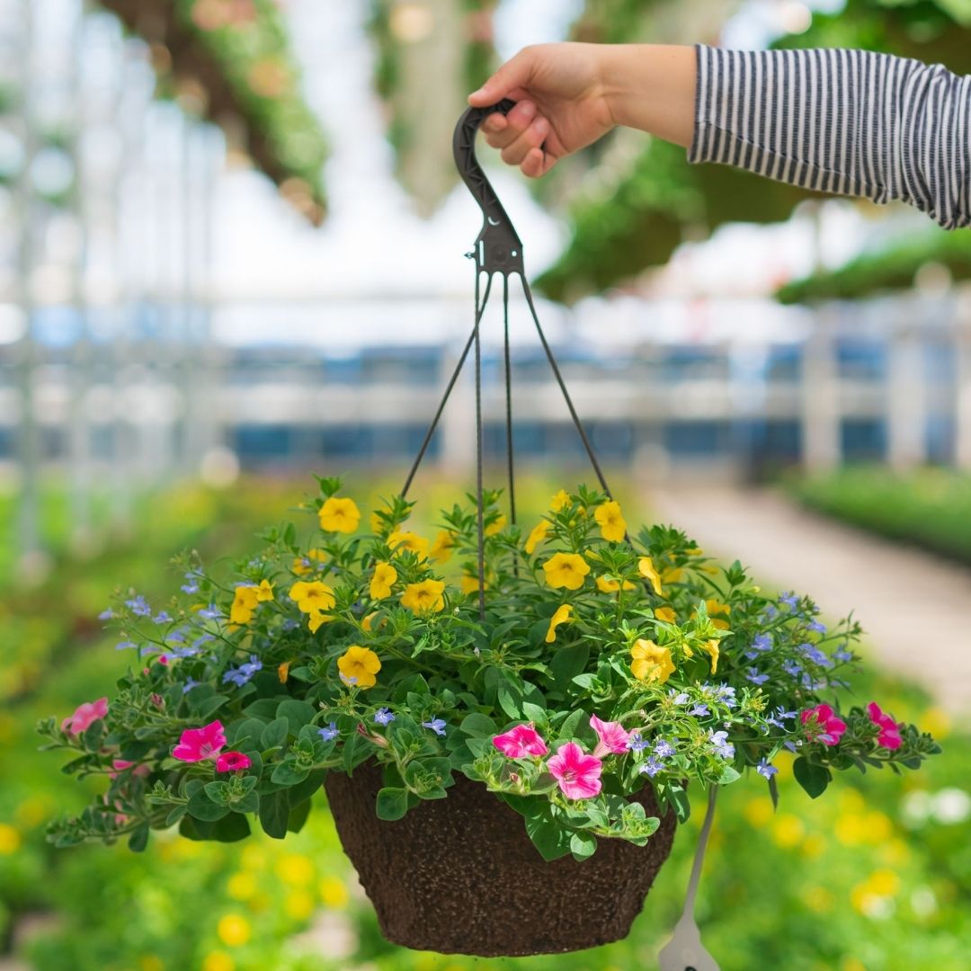 Combo – Pink Lemonade – 12″ Fiber Hanging Basket
